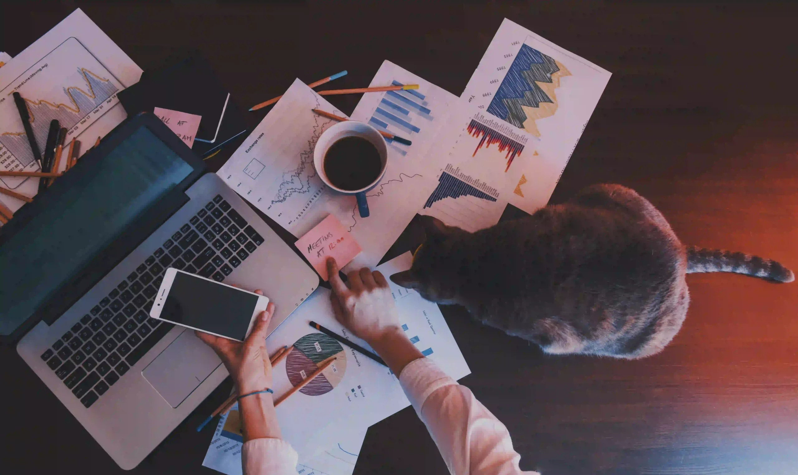 Freelance digital marketing