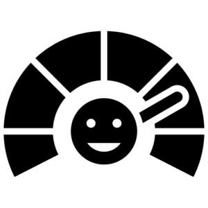 NPS Score